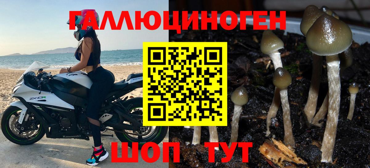 Галлюциногенные грибы Magic Shrooms Нижний Новгород