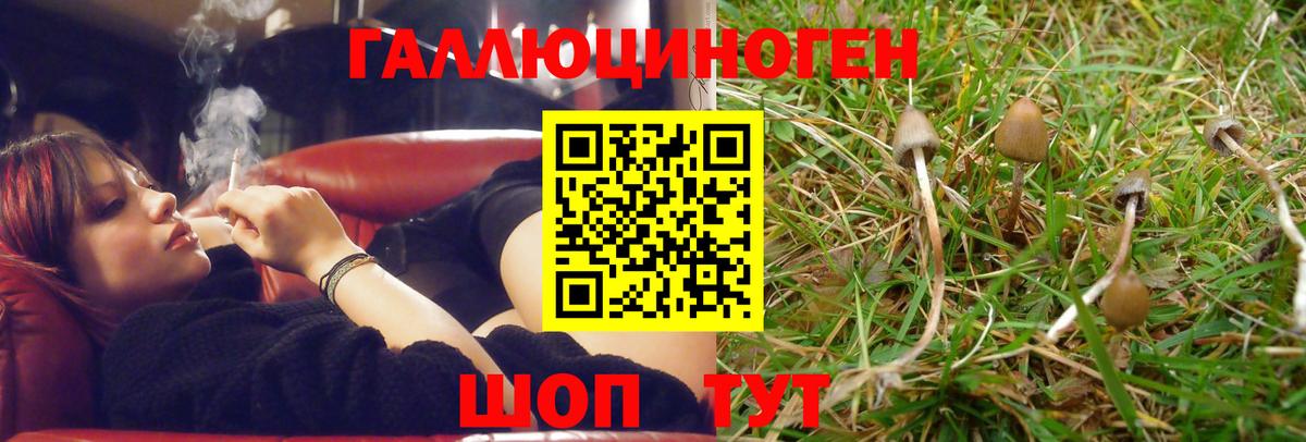 Псилоцибиновые грибы мухоморы  Вход с VPN  Нижний Новгород 